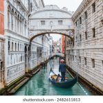 漫猫动漫素材分享:丰富多彩的创作灵感与资源 7fclvdxmz