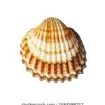 汤姆叔叔的小屋双语版:探索人性与自由的经典文学之旅 d1547k