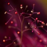 漫画台韩国大全:探索最受欢迎的韩国漫画平台与作品推荐 jki81o149y