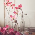 漫画 韩国漫画 language zh tw:探索韩国漫画的魅力与文化背景 q18zcv