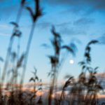 畅享豚豚剧免费高清观看,带你领略精彩剧情 hti559f